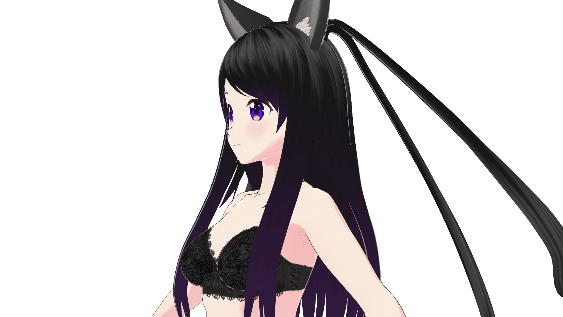 ランジェリーセット（上半身・斜め前）